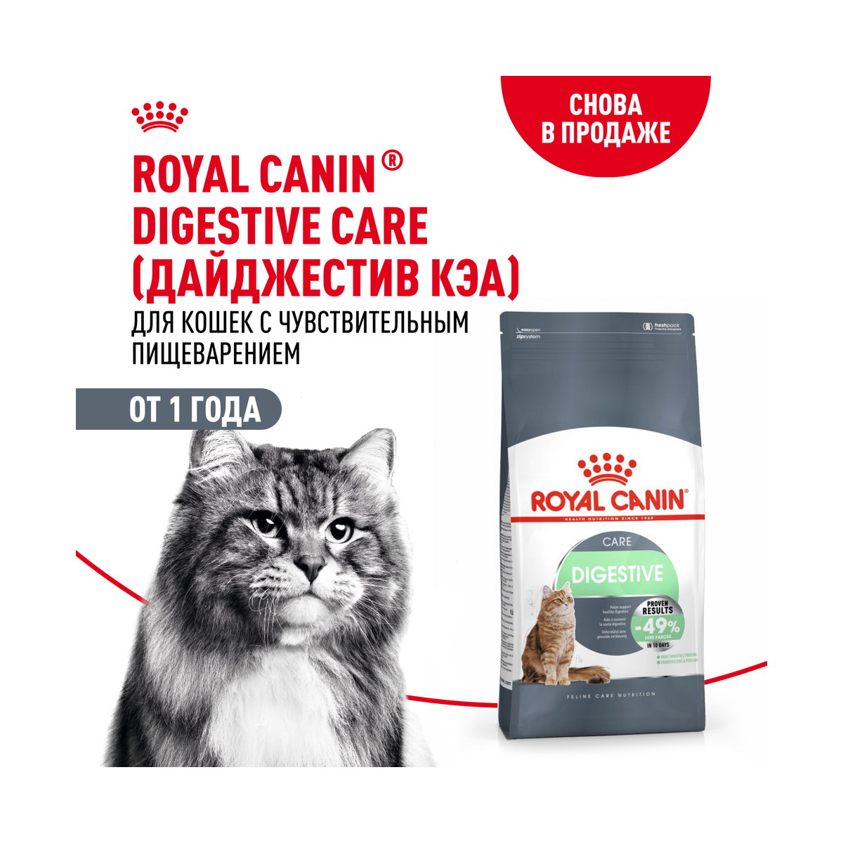 Информация о составе и свойствах Royal Canin Digestive Care