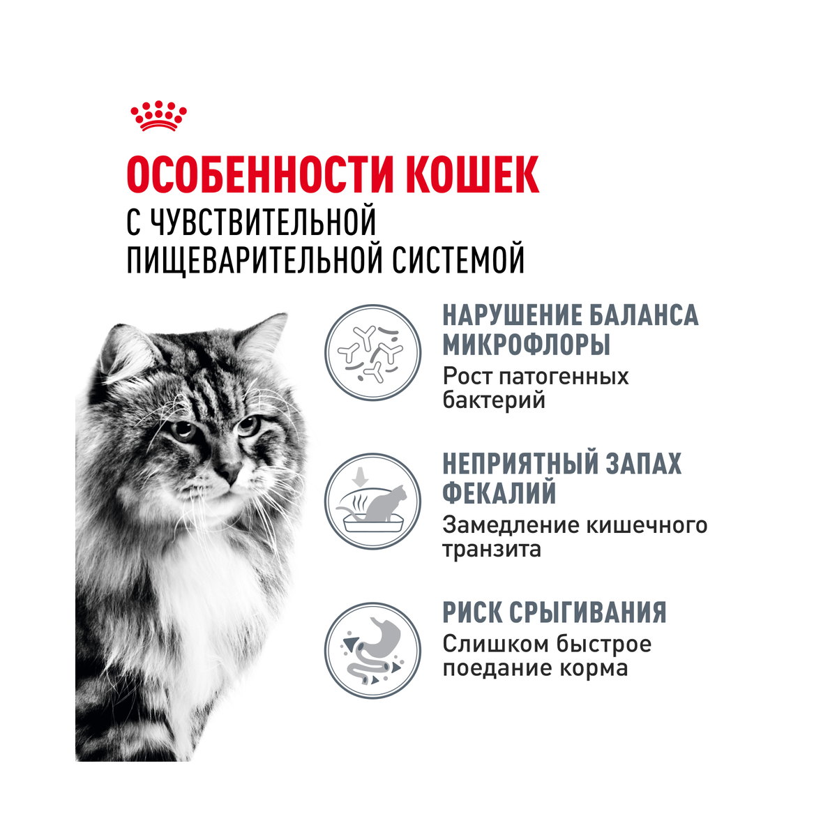 Информация о составе и свойствах Royal Canin Digestive Care, дополнительный вид