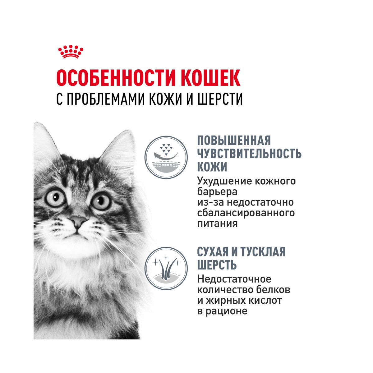 Деталь упаковки Royal Canin Hair and Skin Care 33