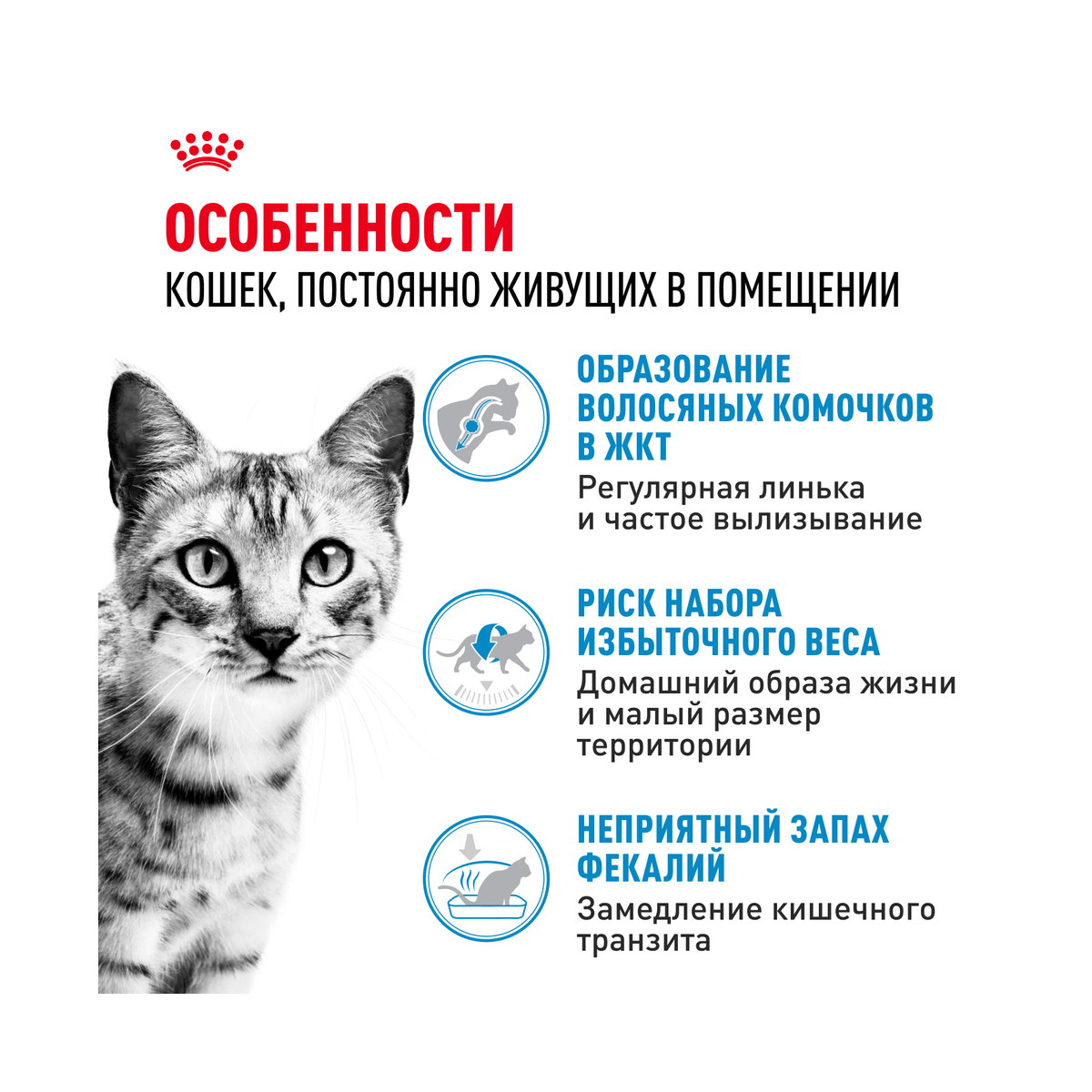 Боковая сторона упаковки Royal Canin Indoor 27 Home Life
