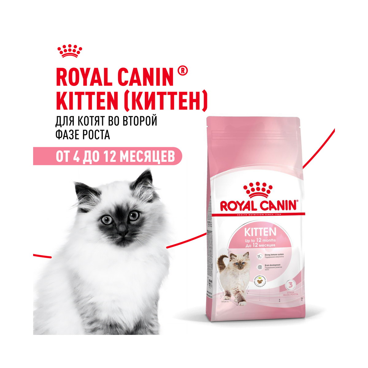 Информация о составе и свойствах Royal Canin Kitten 36 Second Age