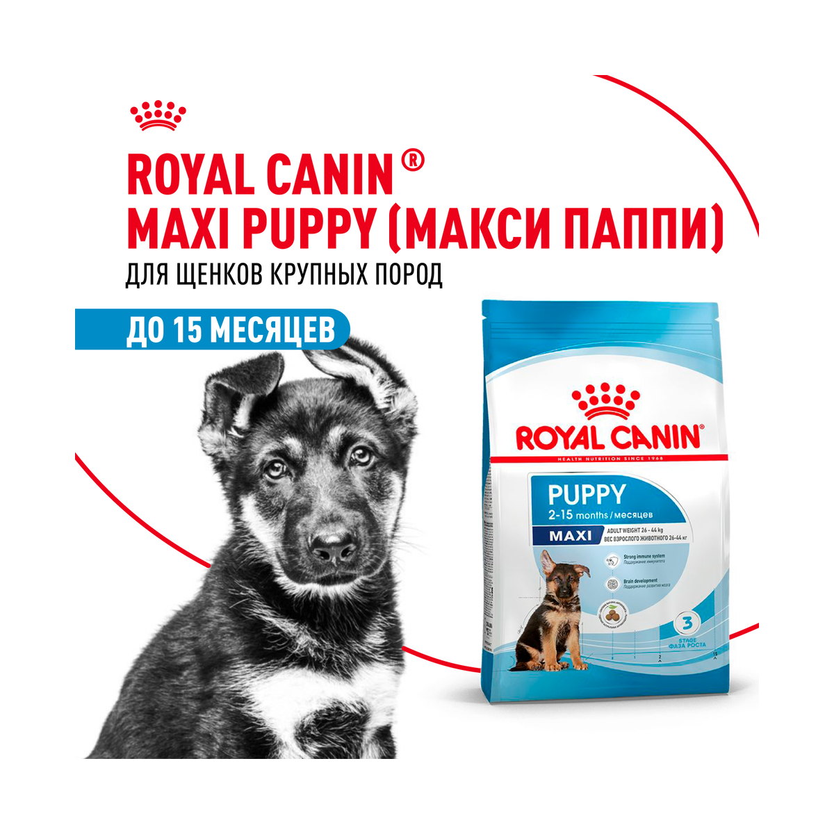 Деталь упаковки Royal Canin Maxi Puppy