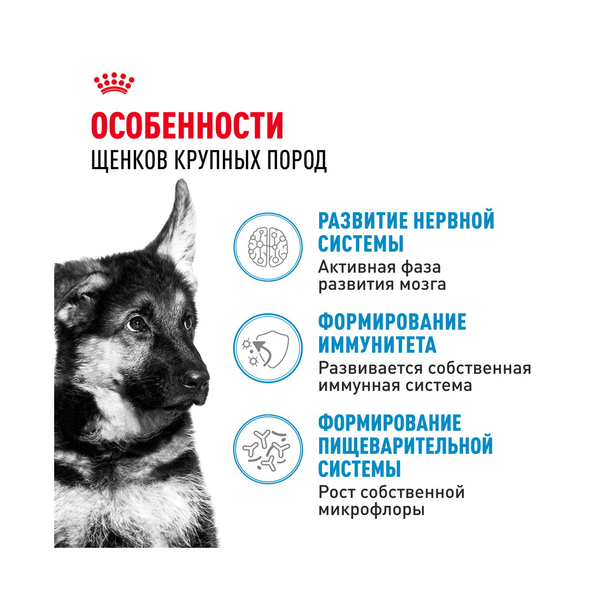 Информация о составе и свойствах Royal Canin Maxi Puppy
