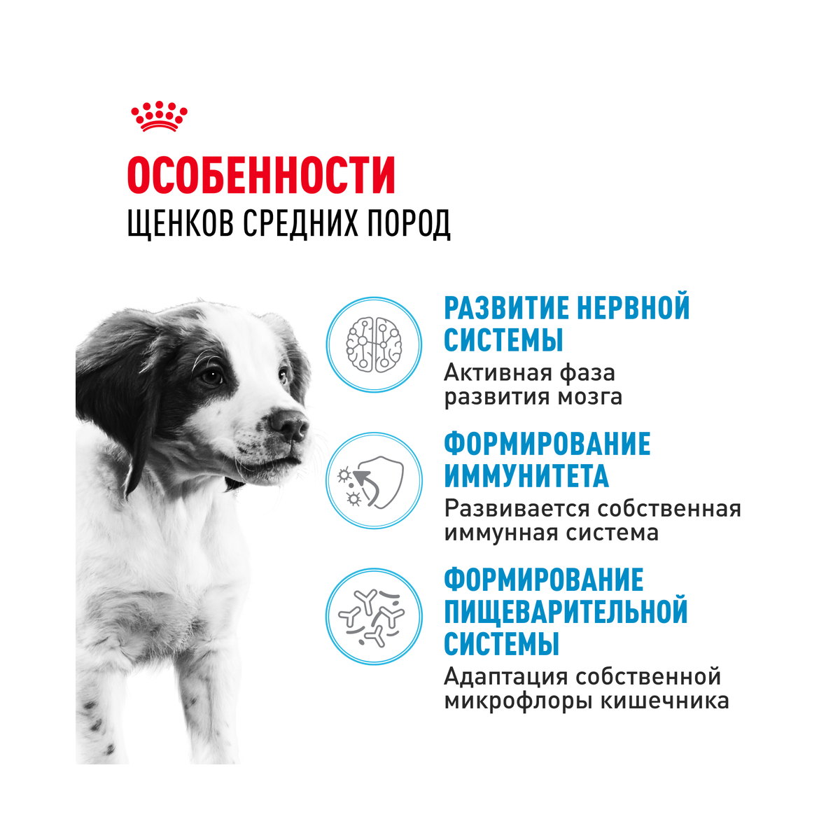 Информация о составе и свойствах Royal Canin Medium Puppy, дополнительный вид