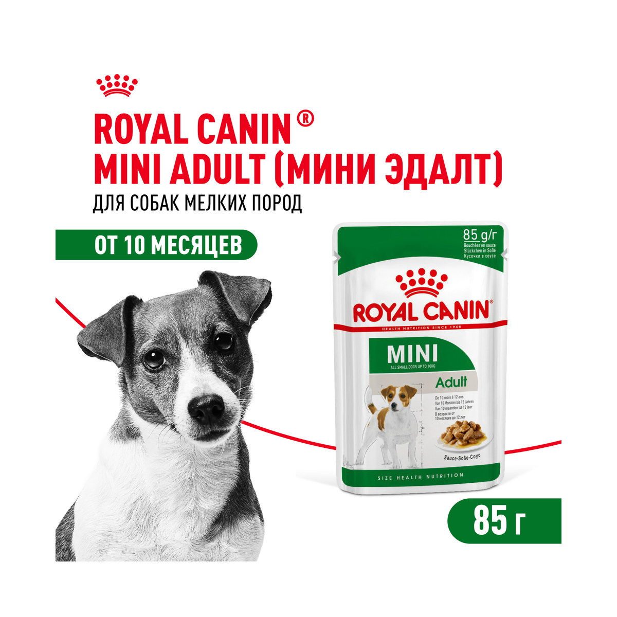 Информация о составе и свойствах Royal Canin Mini Adult