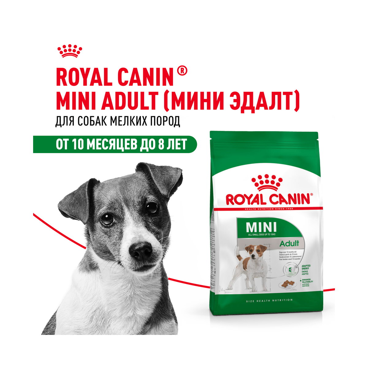 Информация о составе и свойствах Royal Canin Mini Adult