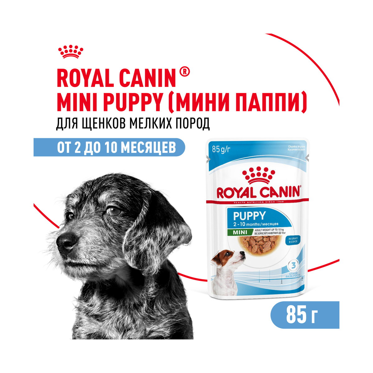 Деталь упаковки Royal Canin Mini Puppy