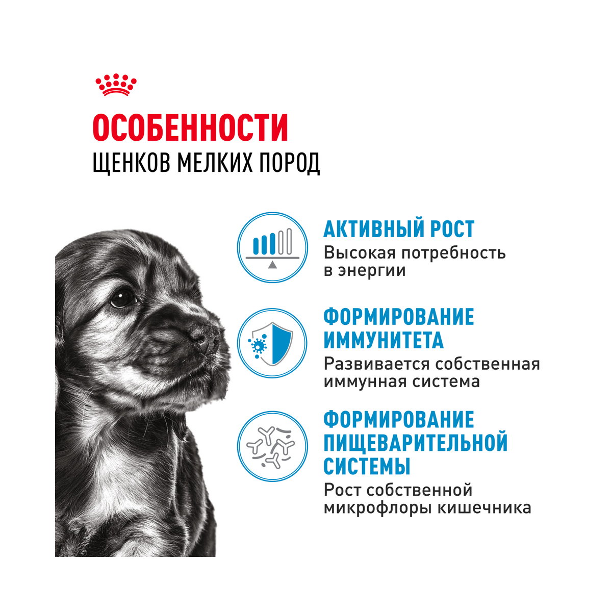 Информация о составе и свойствах Royal Canin Mini Puppy