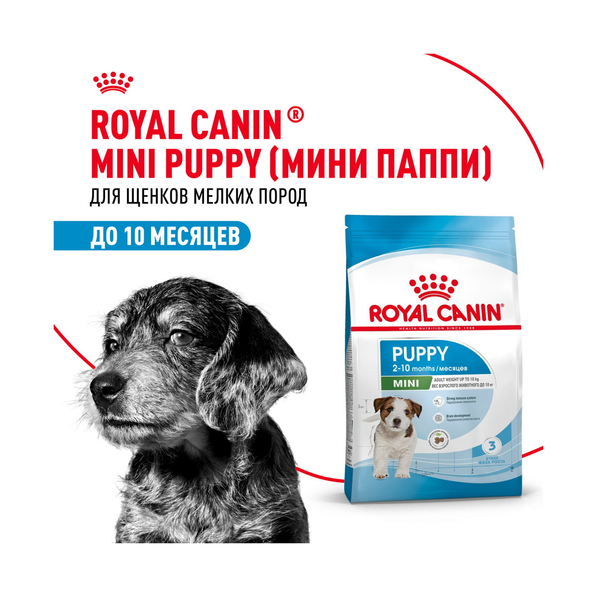 Информация о составе и свойствах Royal Canin Mini Puppy