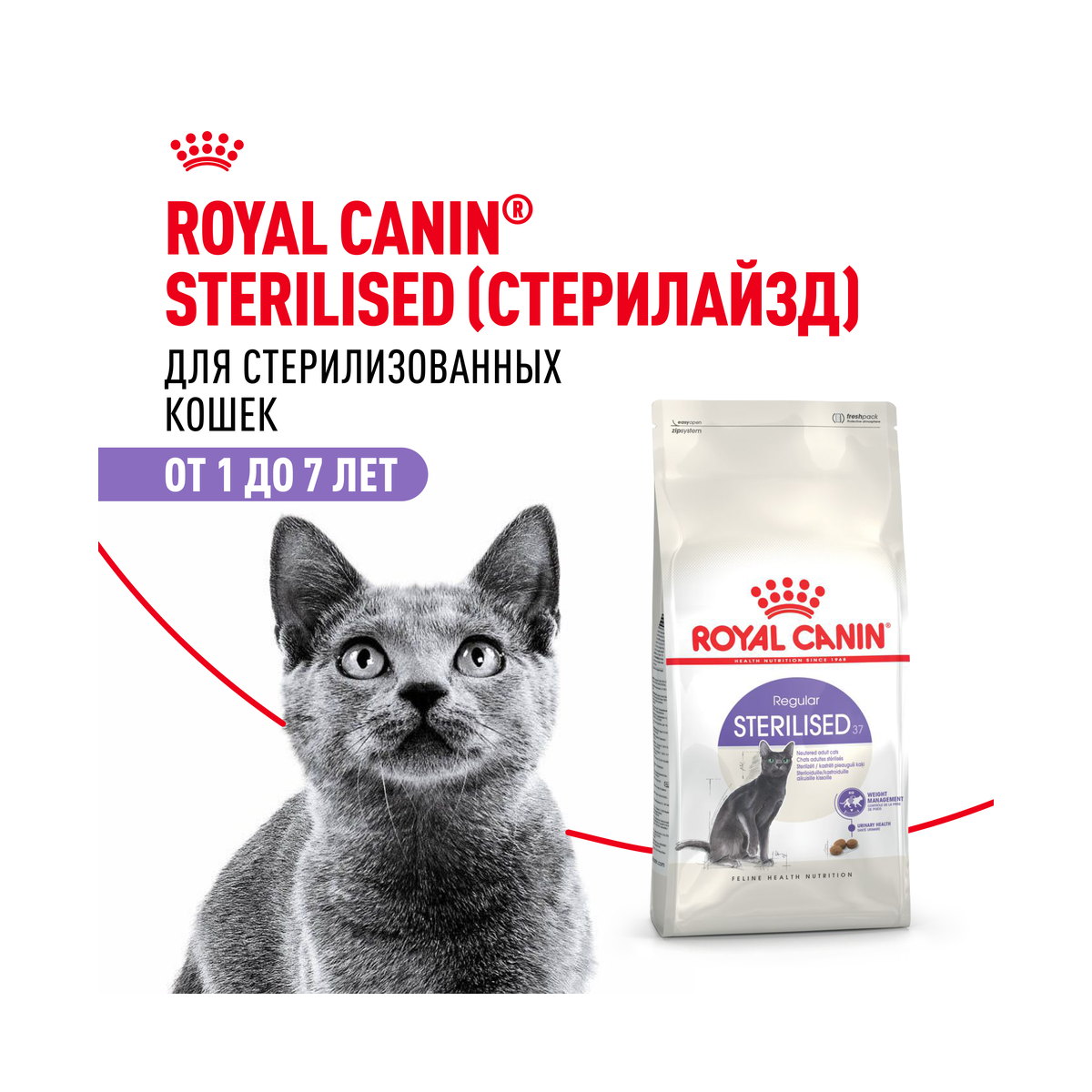 Таблица кормления Royal Canin Sterilised 37 Regular
