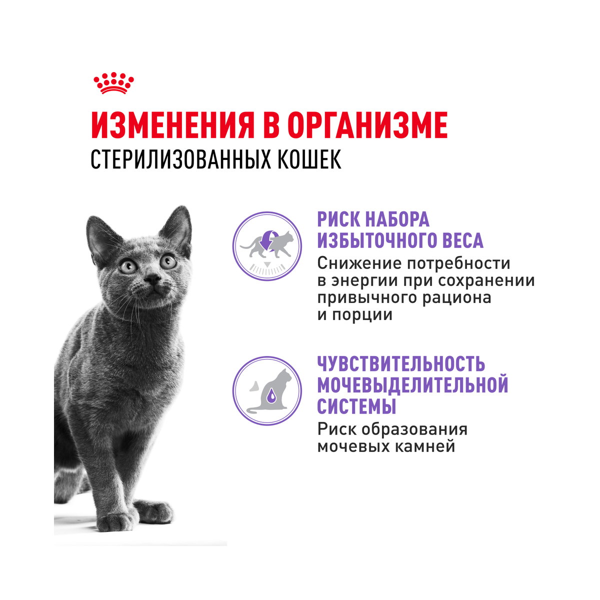Информация о составе и свойствах Royal Canin Sterilised, дополнительный вид